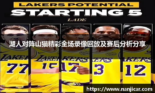 湖人对阵山猫精彩全场录像回放及赛后分析分享